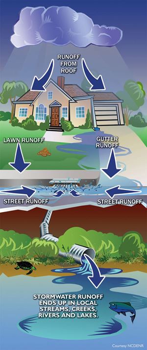 Where Does Storm Water Go Infographic