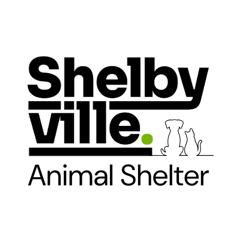 Animal Shelter (1)